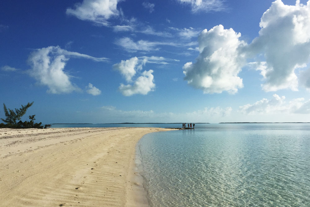 Sandy beach and clear skies Bahamas