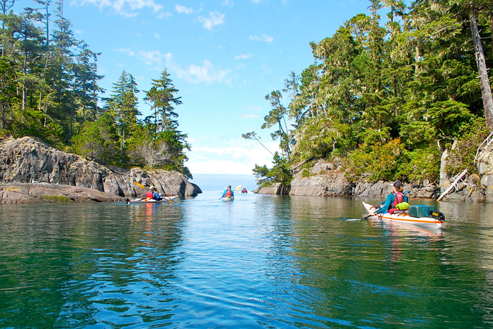 Kayaking - Great Bear Rainforest