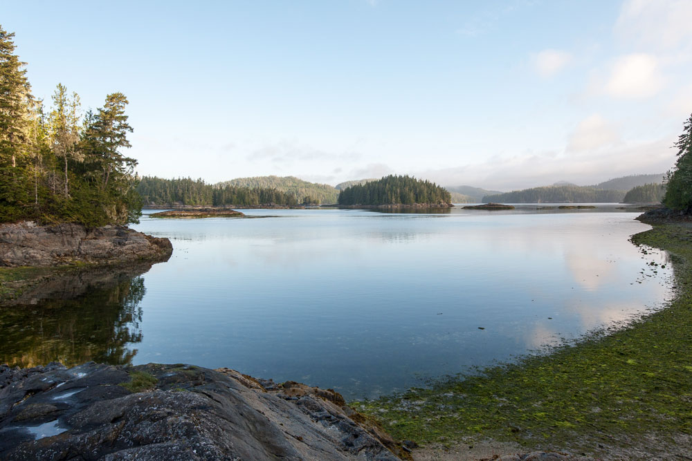 Great Bear Rainforest