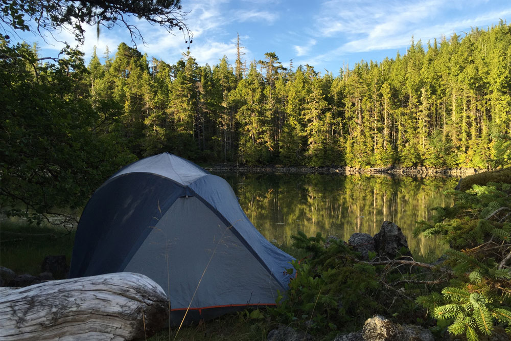 Camping - Great Bear Rainforest