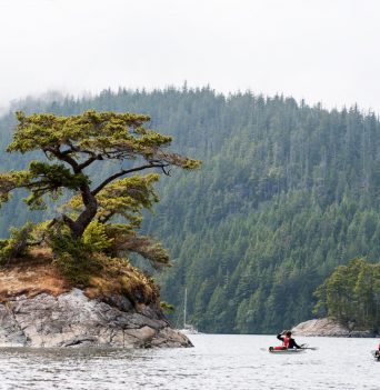 Sea kayakers paddling beside rocky island
