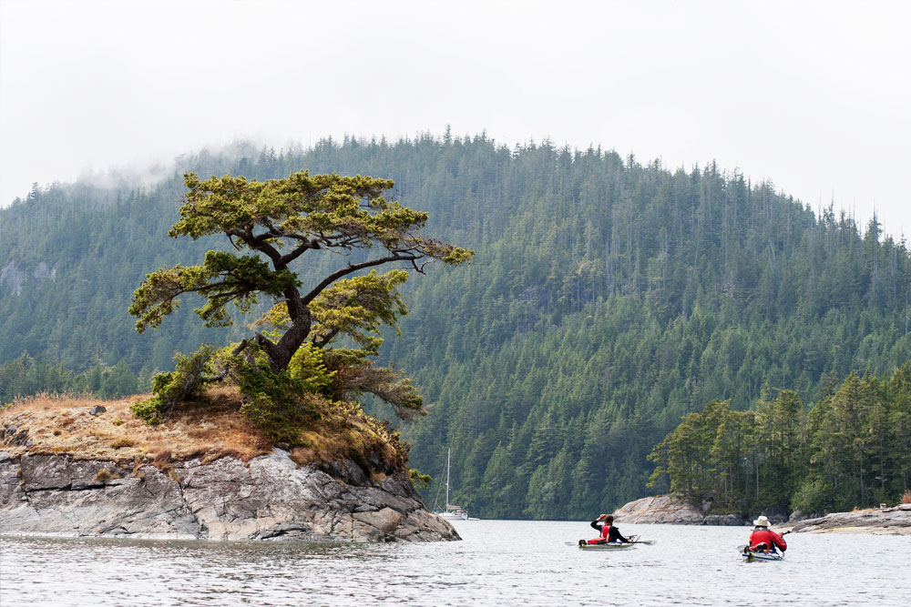 Sea kayakers paddling beside rocky island