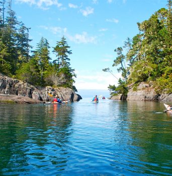 Kayakers paddling through calm water in cove