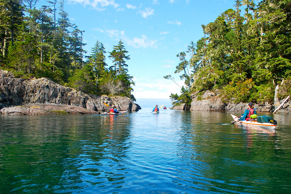 Kayakers paddling through calm water in cove