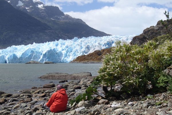 A person in a red jacket sitting on a rock shore looking at a glacier in Chile
