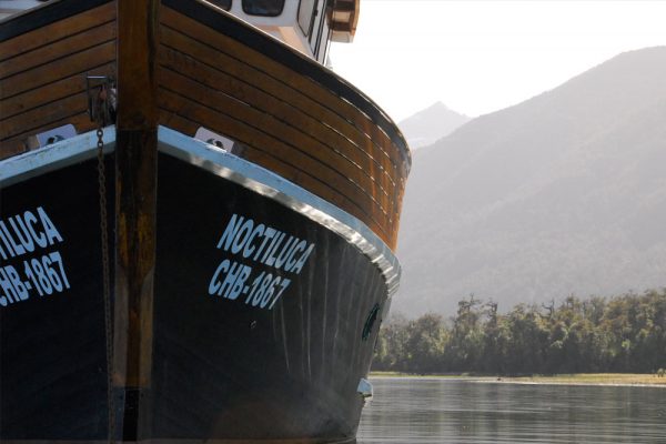 The bow of an expedition mothership floating in Chile