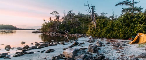 Great Bear Rainforest camping