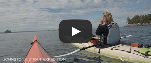 watch humpback kayaking video