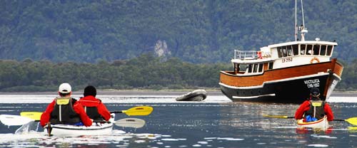 patagonia sea kayaking mothership