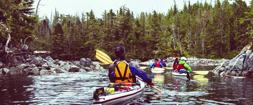 Great Bear Rainforest sea kayaking.