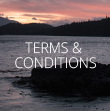 Terms and Conditions