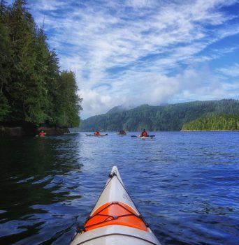 Kayak Tours