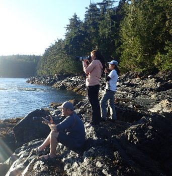 Whale Watching from Beach