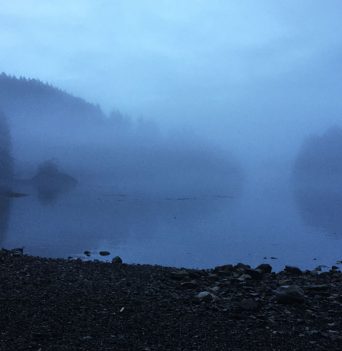 Fog