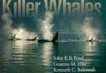 killer whales