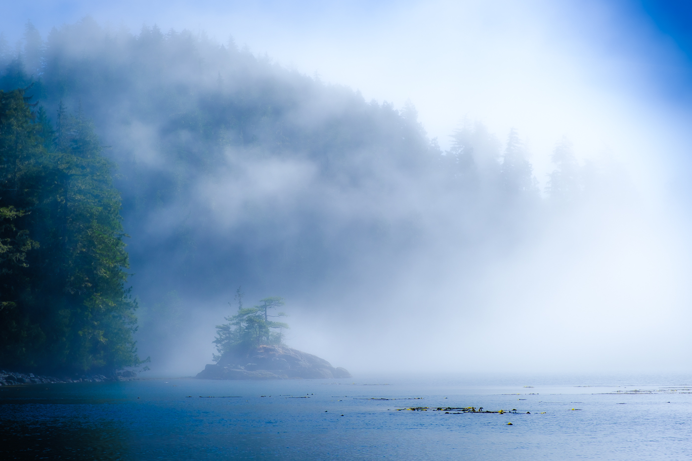 BC coastal island in fog