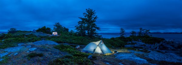 Johnstone Strait Expedition humpback island