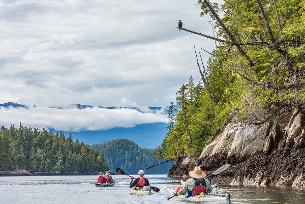 Kayaking Broughton Archipelago