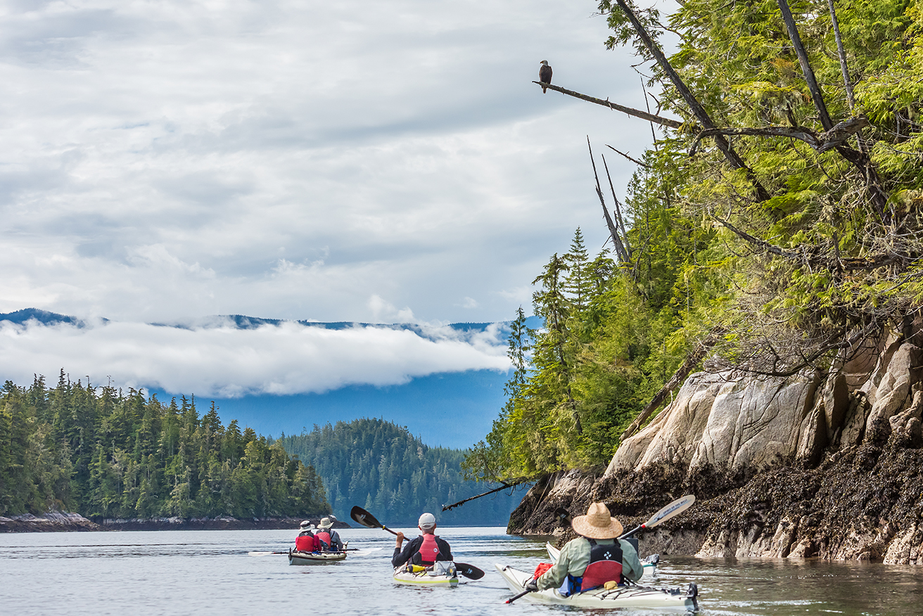 Kayaking Broughton Archipelago