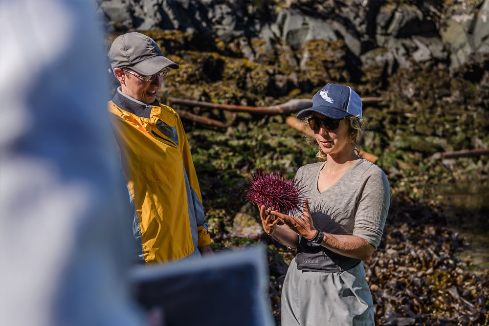 Guide explaining intertidal life to guest with sea urchin