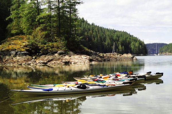 Line of kayaks in the water desolation sound