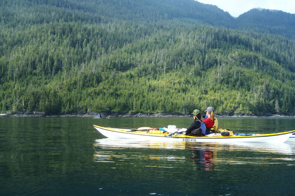 Two kayaks admiring the BC coastal mountains