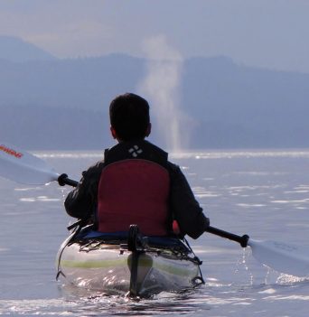 Kayaker paddling with whale spout in front
