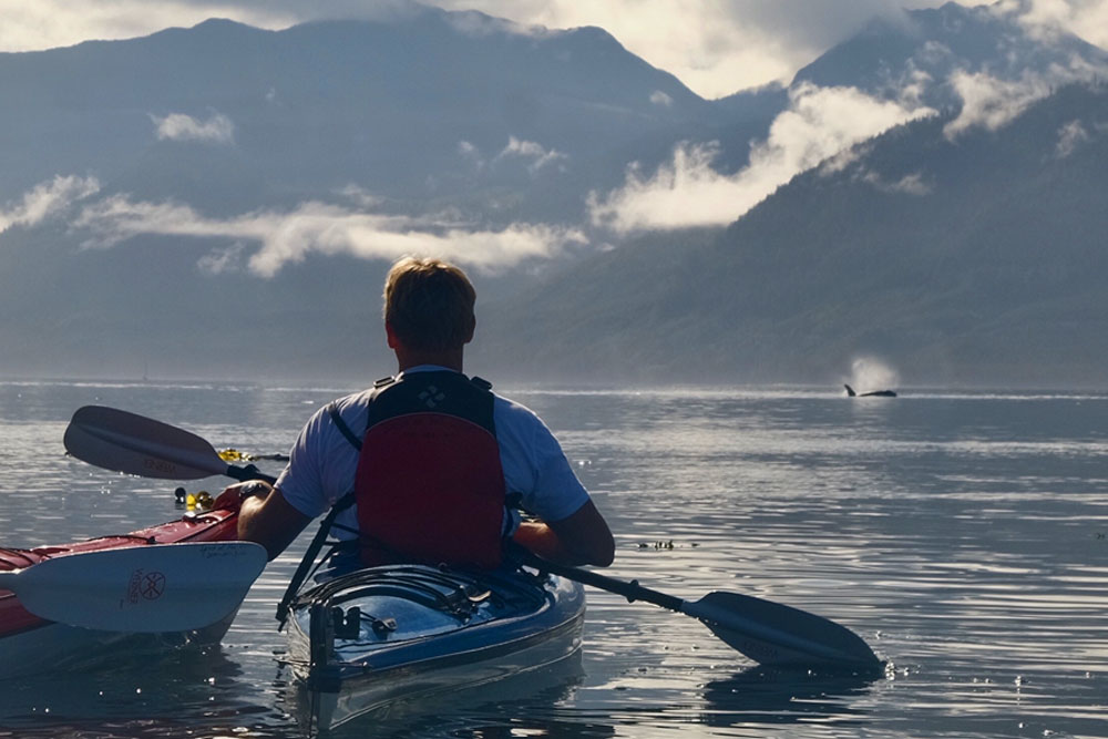 Two kayakers watching an orca breach with the Costal Mountain Range in the background.