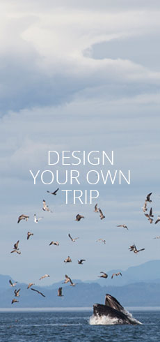 nav-tall-Design-your-trip