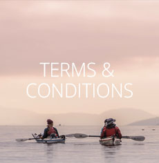 Our Terms and Conditions