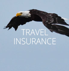 Travel insurance details