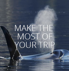 Make the most of your trip