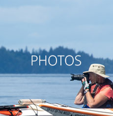 Kayak and Whale Photos