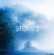 Kayak and Whale Stories