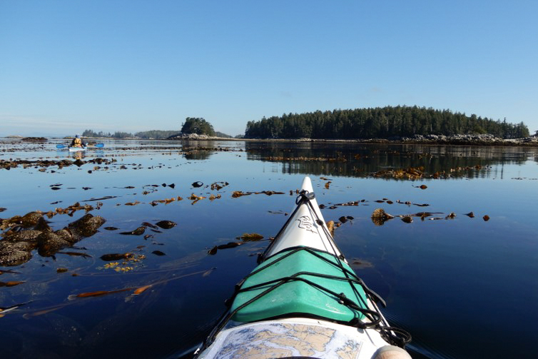 two people kayaking together