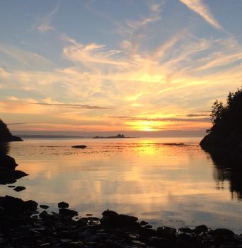 Johnstone Strait Expedition Sunset