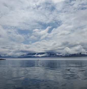 Johnstone Strait Expedition during Cloudy Weather