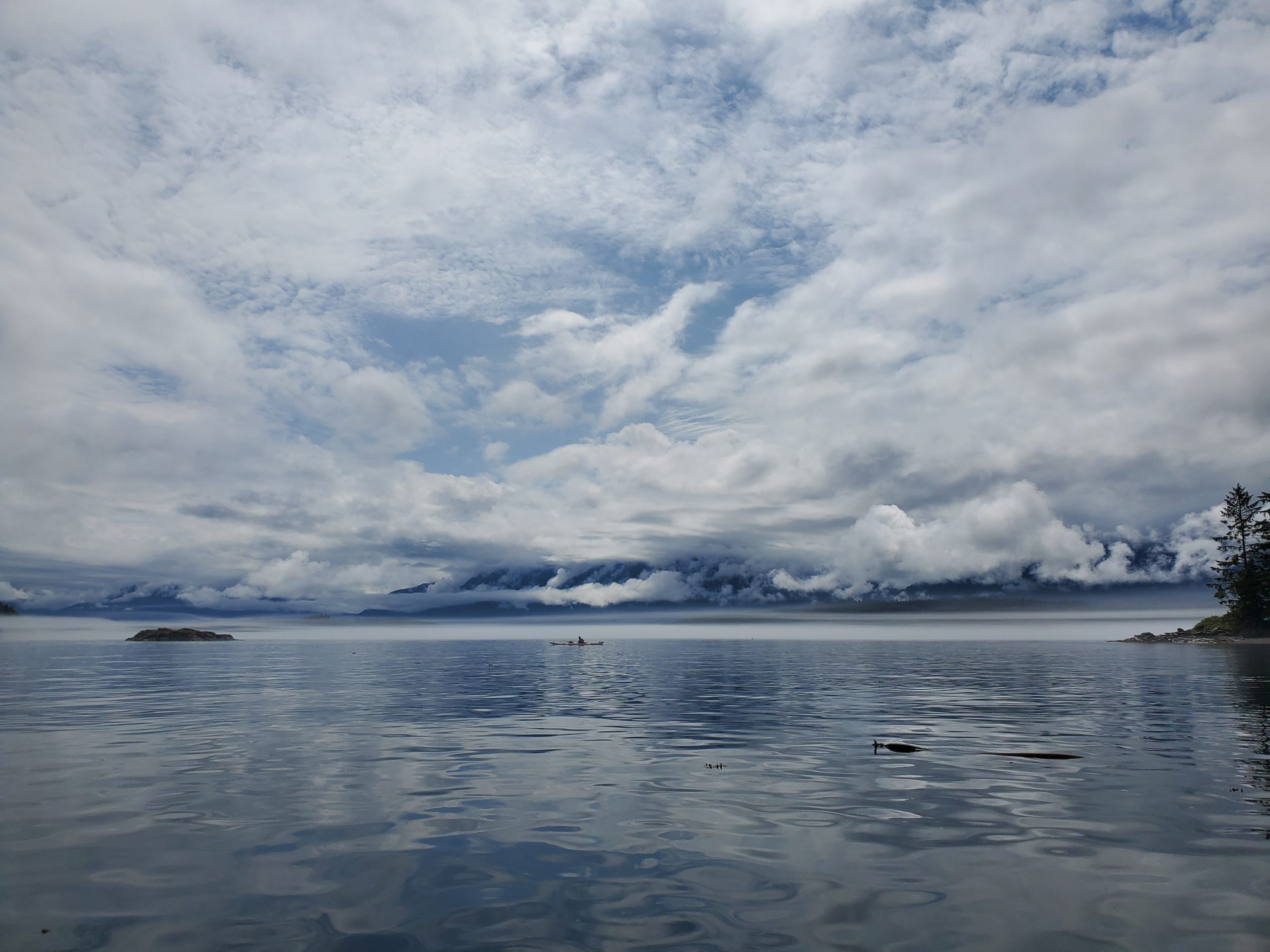 Johnstone Strait Expedition during Cloudy Weather