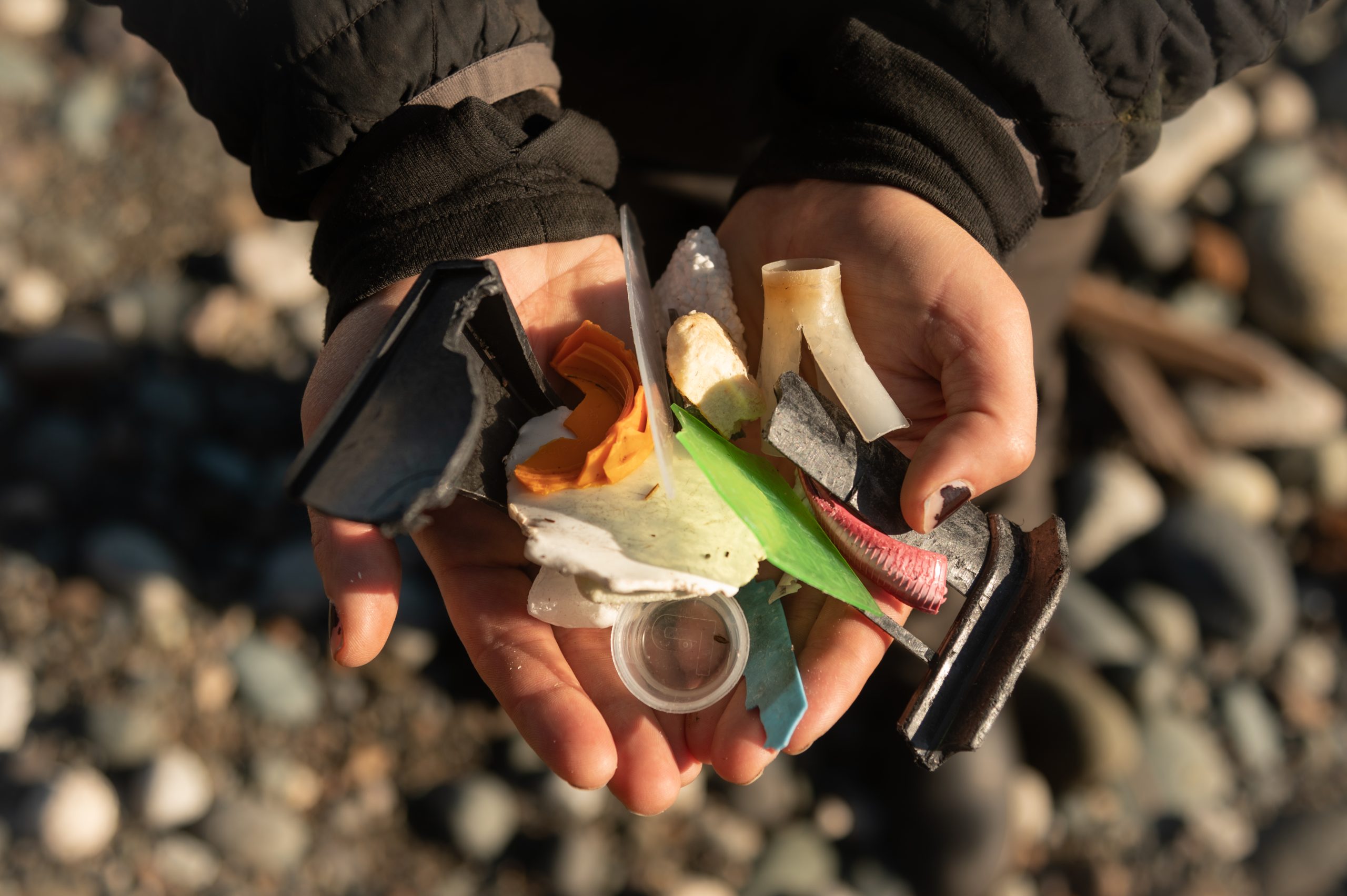 Person Picking Up Garbage off the Beach