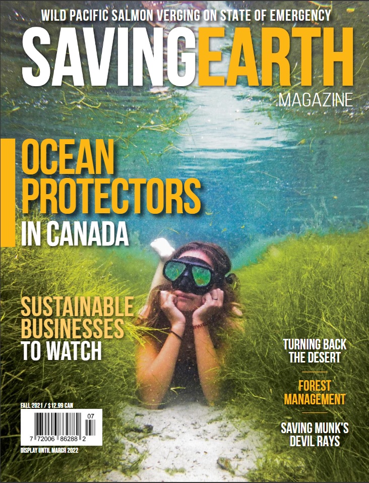 Saving Earth Magazine