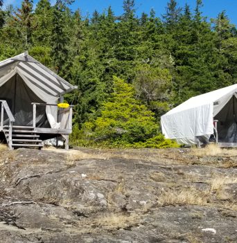 Johnstone straight ultimate basecamp tents