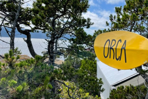 A paddle with the word orca written on it hanging from a tree