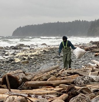 Person Cleaning Up the Beach