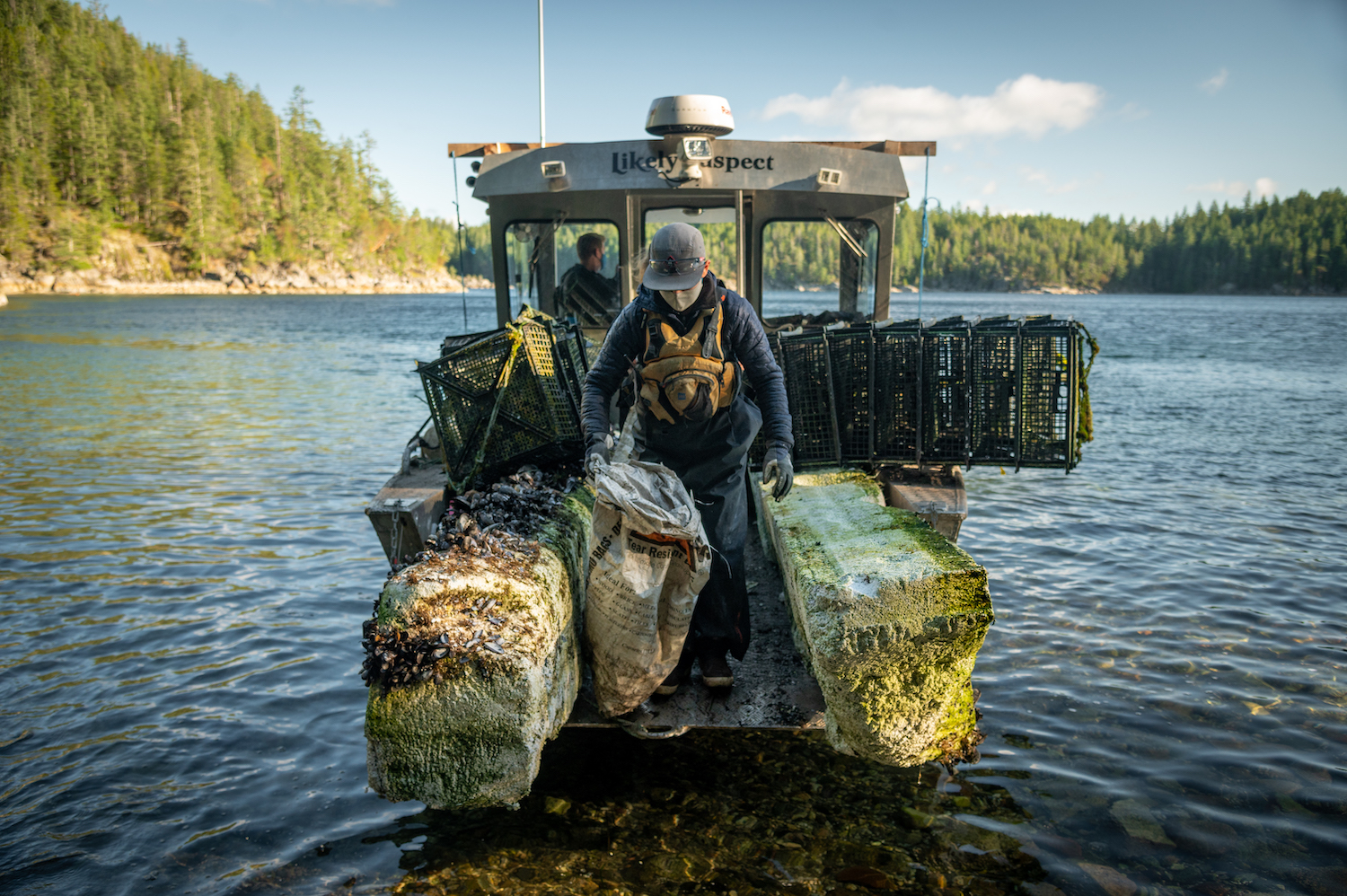 People Collecting Debris from the Water