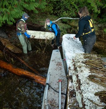 Cleanup crew pulling styrofoam blocks off the beach