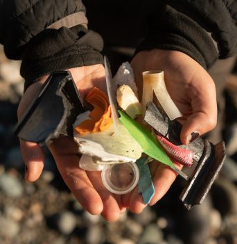 Assortment of Debris in Hand