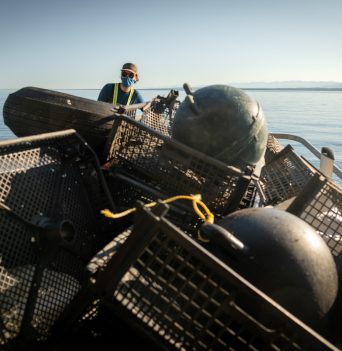 Collected Debris from Discovery Islands