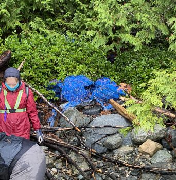 Crew pulling old aquaculture gear from beach