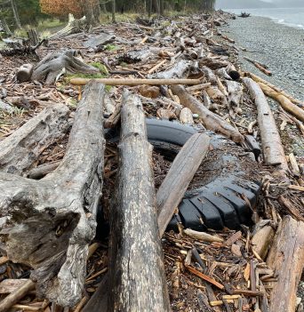Old excavator tire buried in logs and gravel on Quadra Island