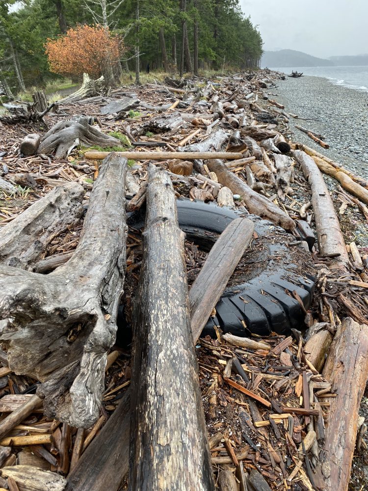 Old excavator tire buried in logs and gravel on Quadra Island